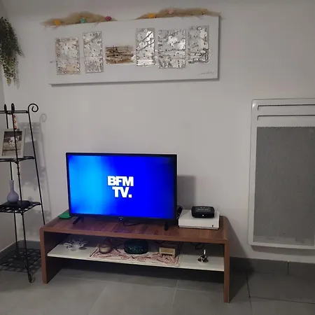 Magistic Handi Apartment Perpignan