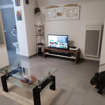 Magistic Handi Apartment *