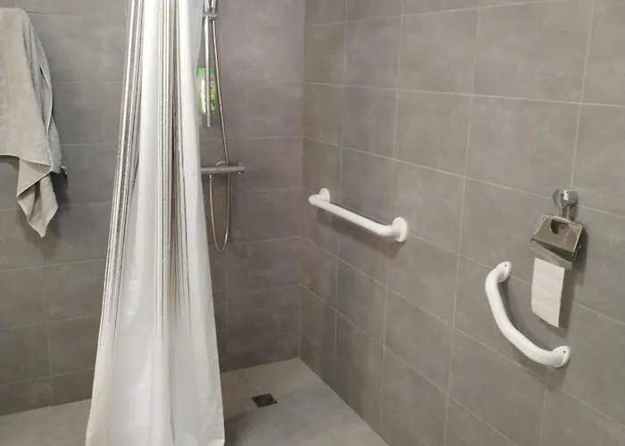 Magistic Handi Appartement *