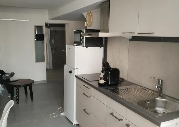 Magistic Handi Appartement *