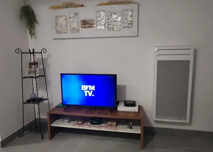 Magistic Handi Apartment Perpignan