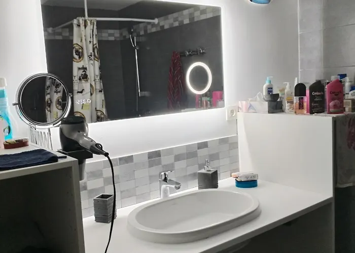 Magistic Handi Appartement