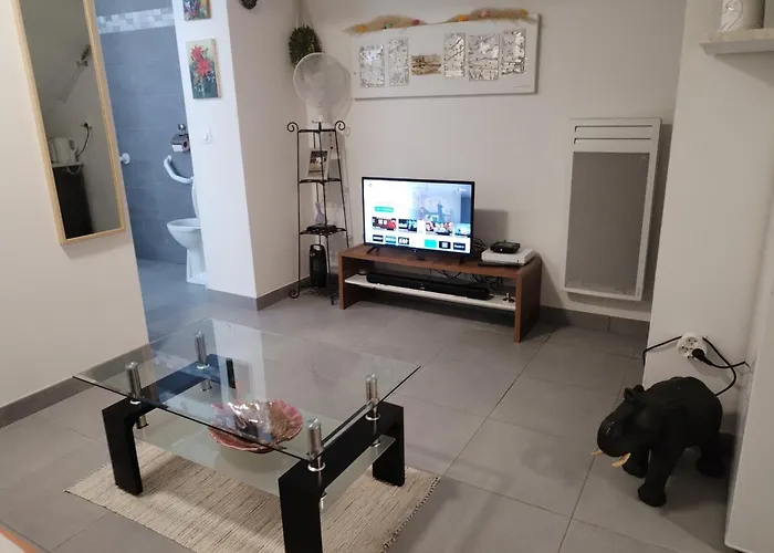 Magistic Handi Apartment *